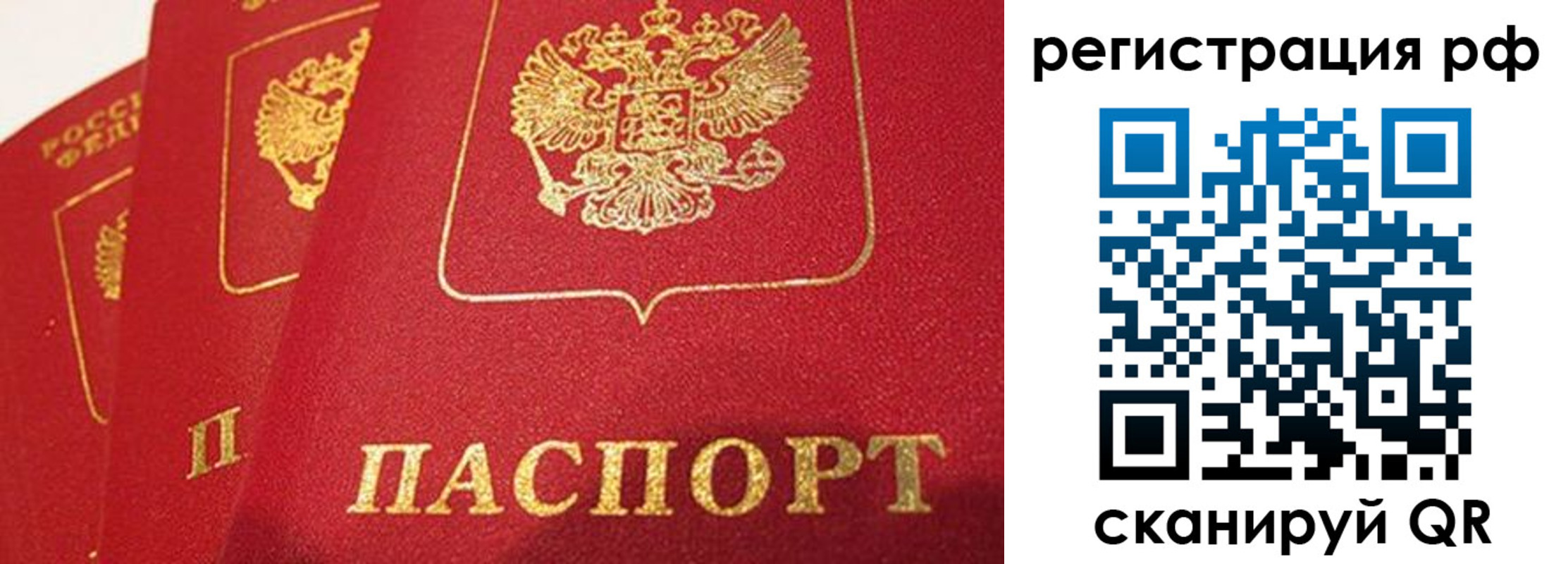 прописка поиск в Шагонаре